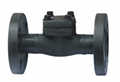 Forged Steel Flanged Threaded Welded Check Valve 1