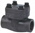 Forged Steel Flanged Threaded Welded Check Valve 4