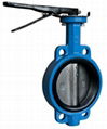 Wafer Type Double Flanged Concentric Design Rubber or PTFE Lined Butterfly Valve 1