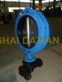 Wafer Type Double Flanged Concentric Design Rubber or PTFE Lined Butterfly Valve 3
