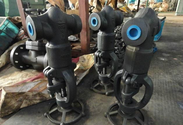 Forged Double Flanged Threaded Welded Globe Valve 3