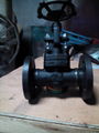 Forged Double Flanged Threaded Welded Globe Valve 5