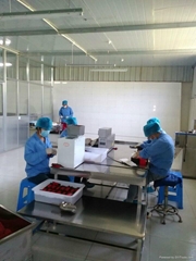 Ningxia Baishi Hengxing Food Technology Co.,Ltd