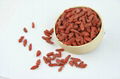 High quality Goji Berry dried fruit 380 grains/50G for sale Ningxia Goji berries 2