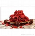 Chinese Wolfberry Gouqizi 220 grains per 50g 