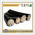 Xlpe Steel Tape Armored Power Cable