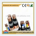 Aluminum Conduct Xlpe Steel Wire Armored Power Cable