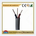 Twin earth PVC Insulated Flat Cable
