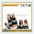 PVC Steel Wire Armored Power Cable 1