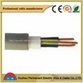 Solid Conductor Sheath Cable 1