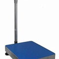 BS Series Weighing Bench Scale 1