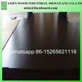 cheap price black wbp film faced plywood