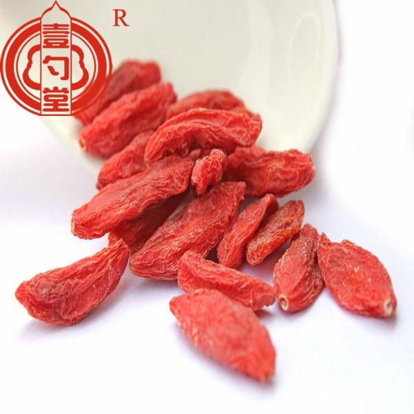 Ningixia dried goji berry bulk goji berries wholesale goji berry 2