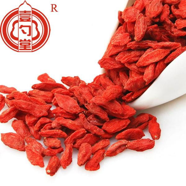 Ningixia dried goji berry bulk goji berries wholesale goji berry 3