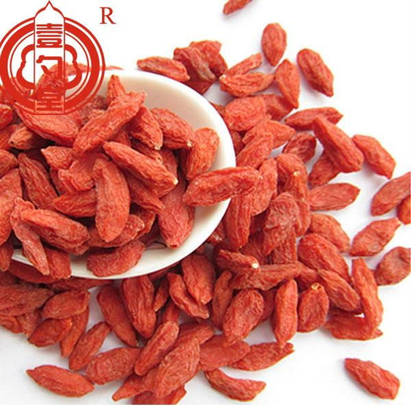 Ningixia dried goji berry certified organic goji berry