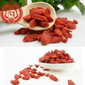 Ningixia dried goji berry china goji berries 4