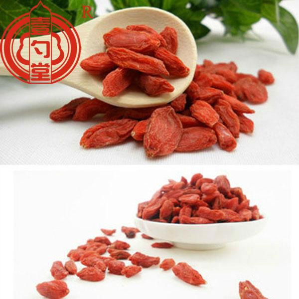 Ningixia dried goji berry chinese wolfberry 5