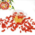 Ningixia dried goji berry organic goji berries wholesale 5