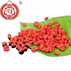 Ningixia dried goji berry sweet taste