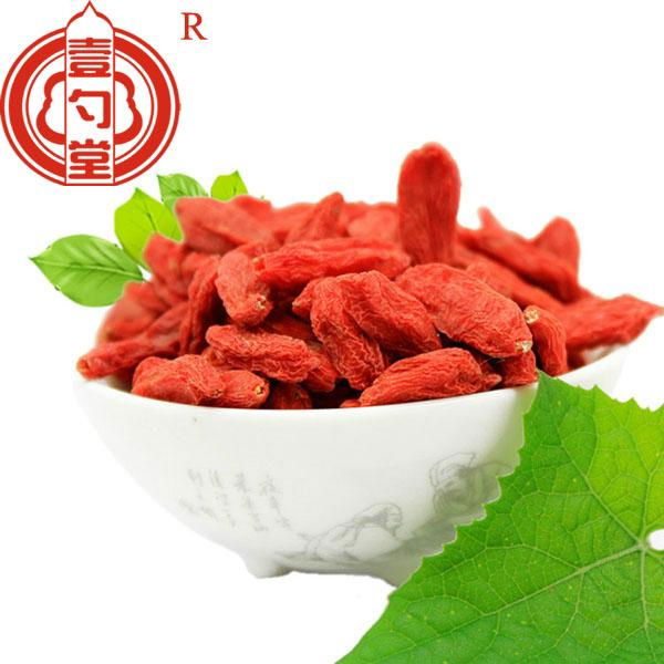 Ningixia dried goji berry wholesale distributors needed