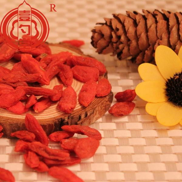 Ningixia dried goji berry wholesale distributors needed 3