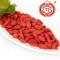 Ningixia dried goji berry wholesale distributors needed 4