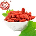Ningixia dried goji berry china