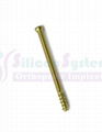 Cancellous Screw