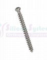 Cancellous Locking Screw 1