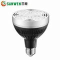 LED Par Lamp 1