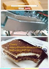 SH China customized wafer making machine