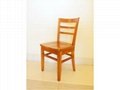 Horestco Dome Chair-Indoor Dining Chair 4