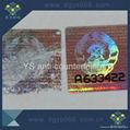 Temper proof easy damage hologram sticker 2