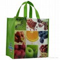  Non woven Shopping bag 1