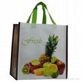  Non woven Shopping bag 2