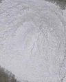 Gypsum Powder