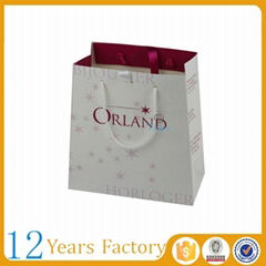luxury gift shopping elegant paper bag
