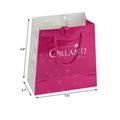 luxury gift shopping elegant paper bag 2