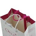 luxury gift shopping elegant paper bag 3