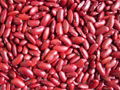 Dark Red Kidney Beans