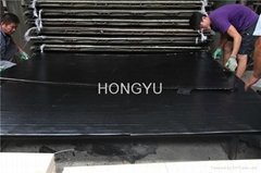 HONGYU shuttering plywood 
