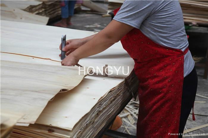 HONGYU used plywood sheets 5