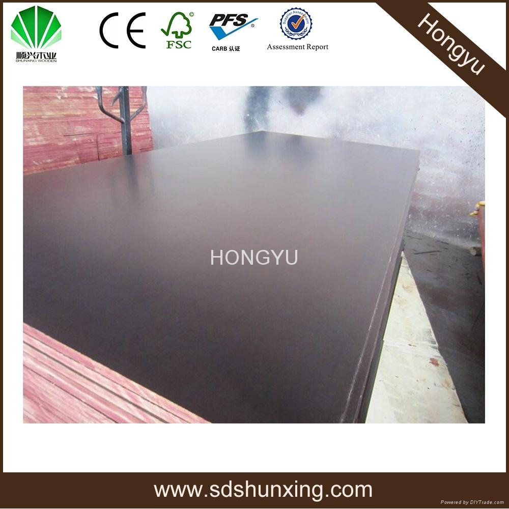 HONGYU 1220x2440x12mm  phenolic plywood