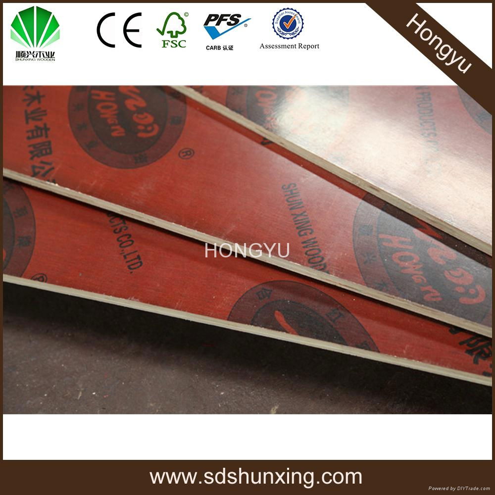 HONGYU 1220x2440x12mm  phenolic plywood 5