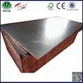 HONGYU phenolic wbp waterproof glue brown black film faced plywood 5