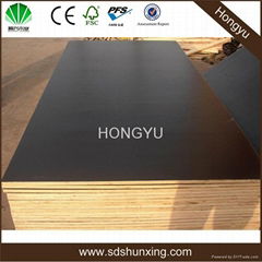 hot sale 4'*8' 18mm shutter plywood 