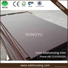 poplar chip shuttering plywood