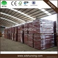 poplar chip shuttering plywood 4