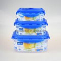 Set of 3 Airtight Plastic Food Storage Container Set 1