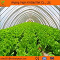 China HDPE material with UV stabilizer orchards anti bird net 5
